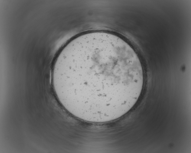 X0000115781269200912241803