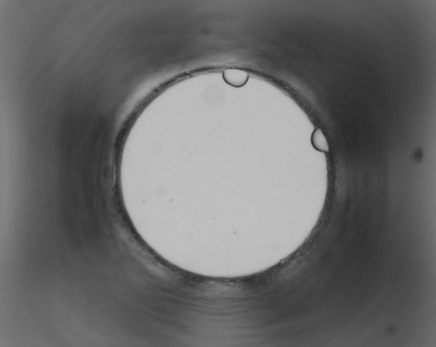 X0000115781270200912241803