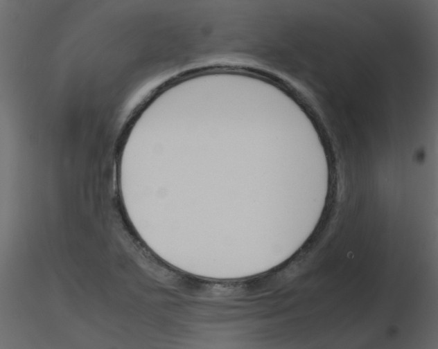 X0000115781271200912241803