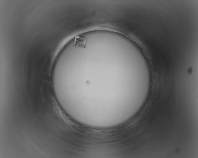 X0000115781272200912241803