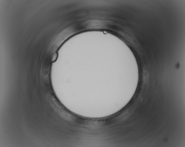 X0000115781273200912241803