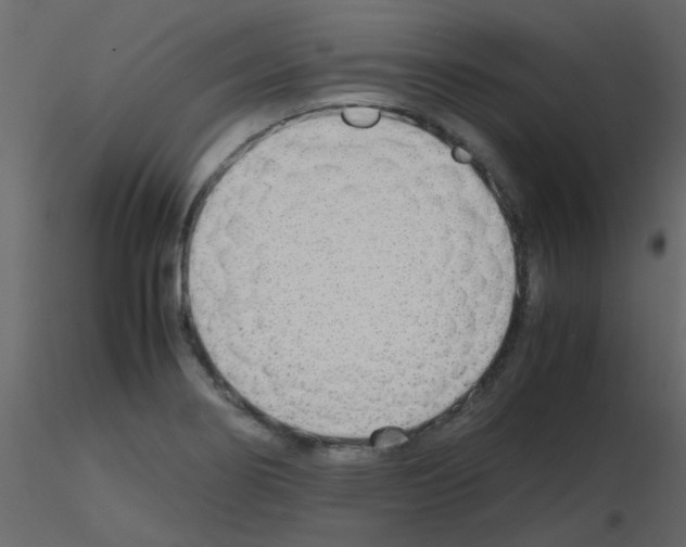 X0000115781274200912241803