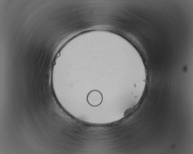 X0000115781276200912241803