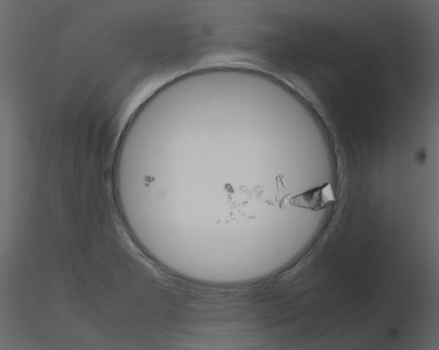 X0000115781277200912241803