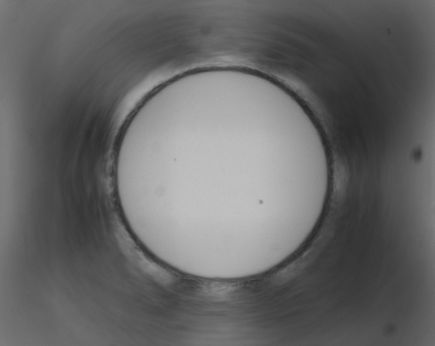 X0000115781278200912241803