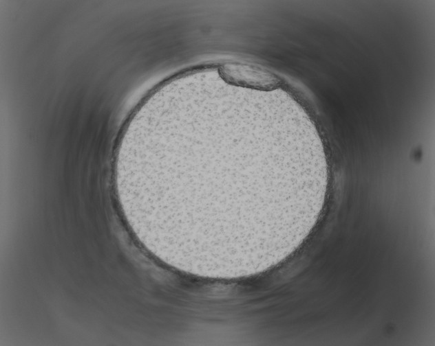 X0000115781279200912241803