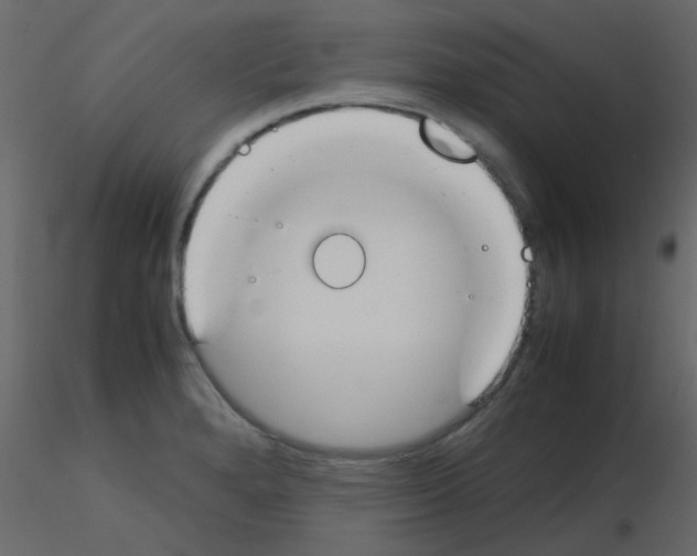 X0000115781280200912241803