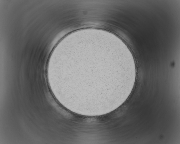 X0000115781283200912241803