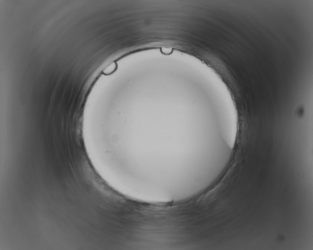 X0000115781284200912241803