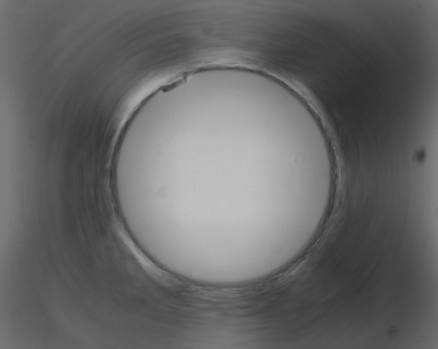 X0000115781285200912241803