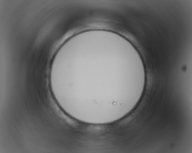 X0000115781286200912241803