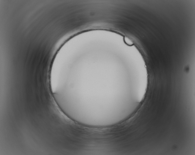 X0000115781288200912241803