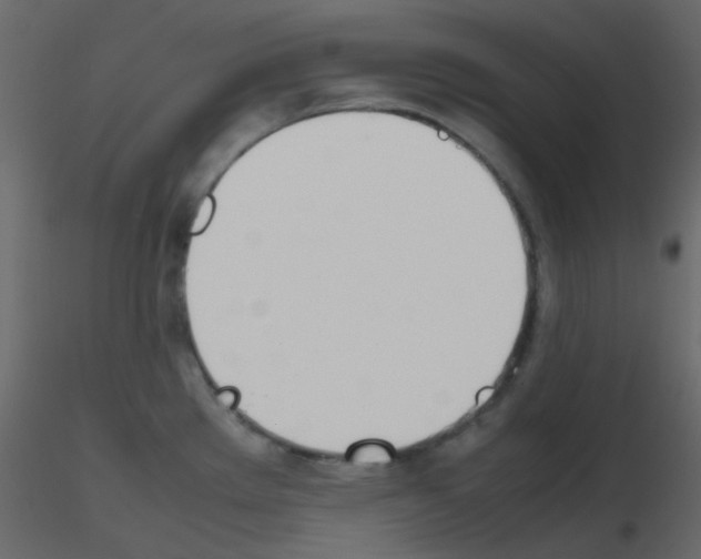 X0000115781289200912241803