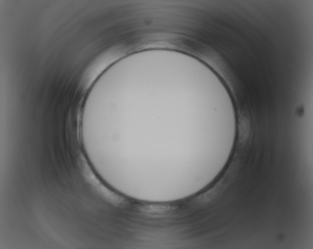 X0000115781290200912241803