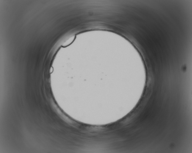 X0000115781293200912241803