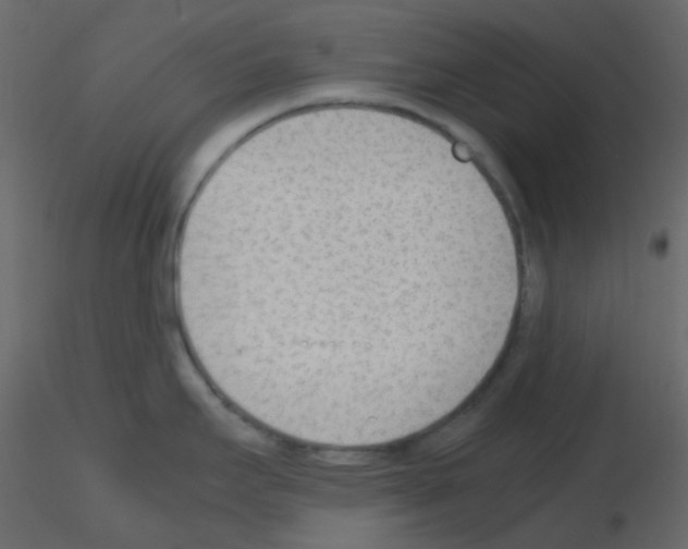 X0000115781295200912241803