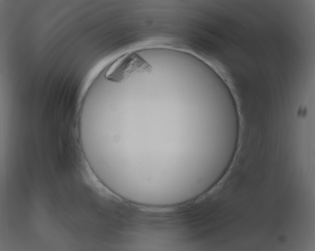 X0000115781296200912241803