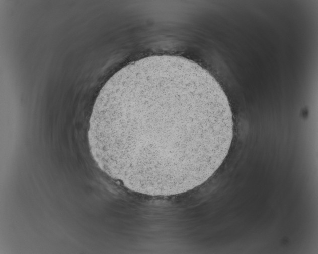 X0000115781297200912241802