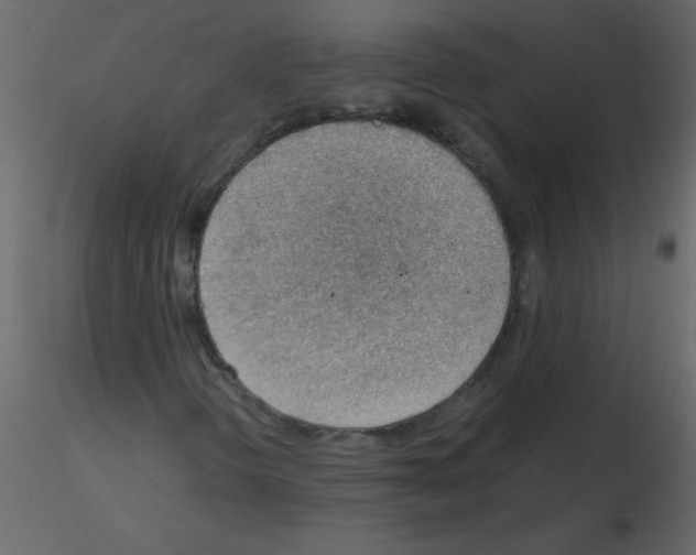 X0000115781298200912241802