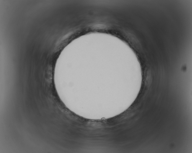 X0000115781301200912241802