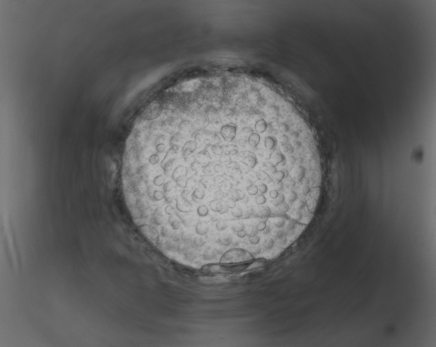 X0000115781302200912241802