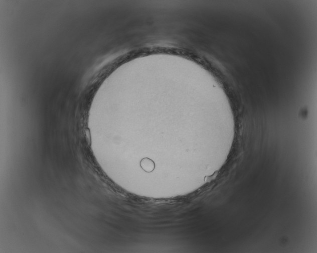 X0000115781303200912241802