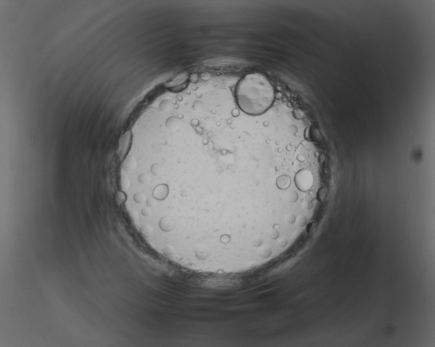 X0000115781305200912241802