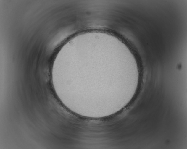 X0000115781306200912241802