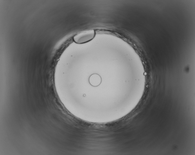 X0000115781310200912241802