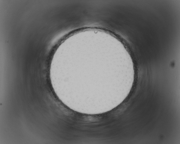 X0000115781311200912241802