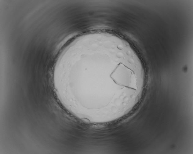 X0000115781313200912241802