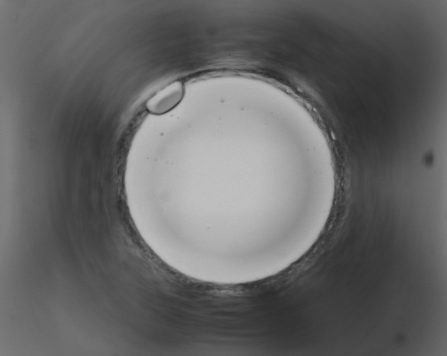 X0000115781315200912241802