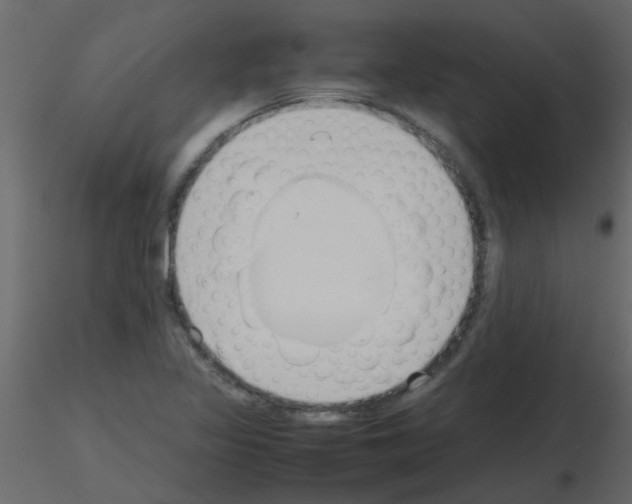 X0000115781317200912241802