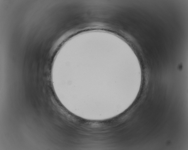 X0000115781318200912241802