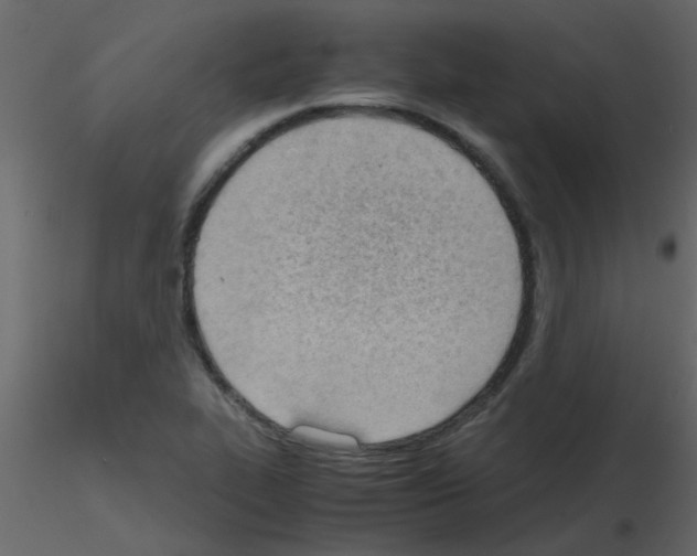 X0000115781319200912241802