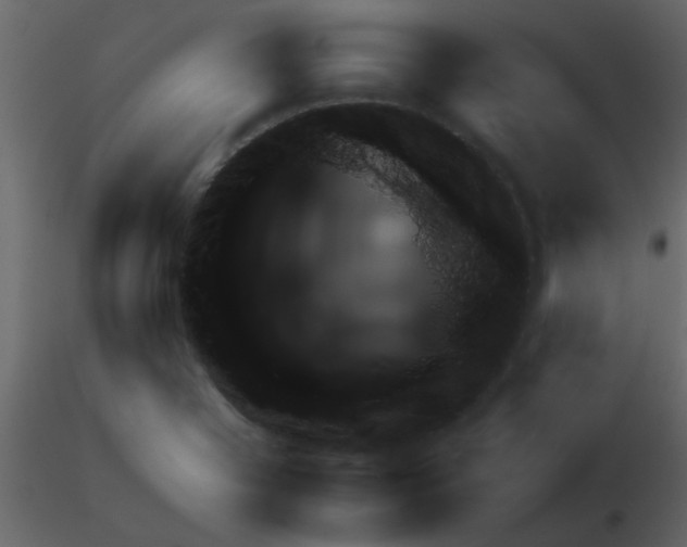 X0000115781321200912241802