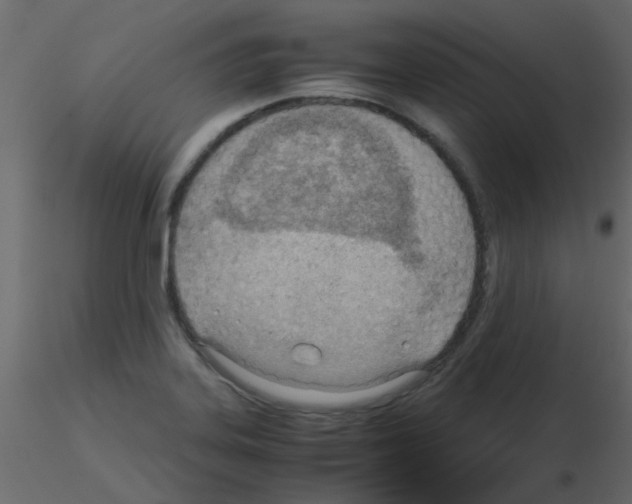 X0000115781323200912241802