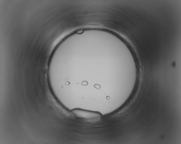 X0000115781325200912241802