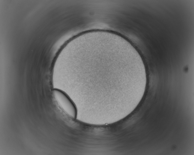 X0000115781326200912241802