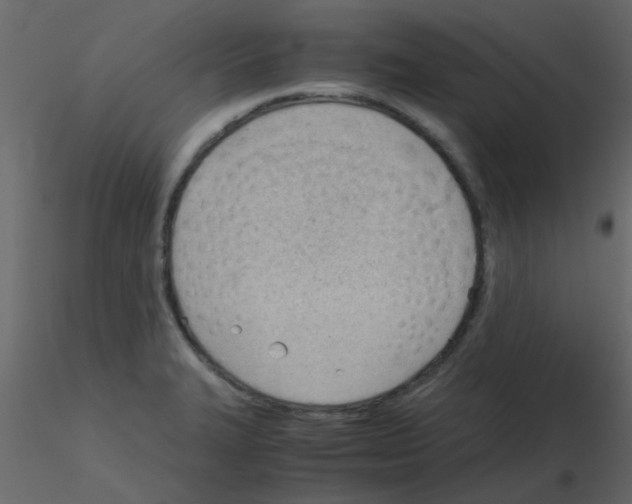 X0000115781327200912241802