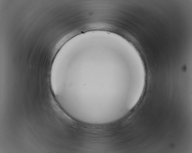 X0000115781330200912241802