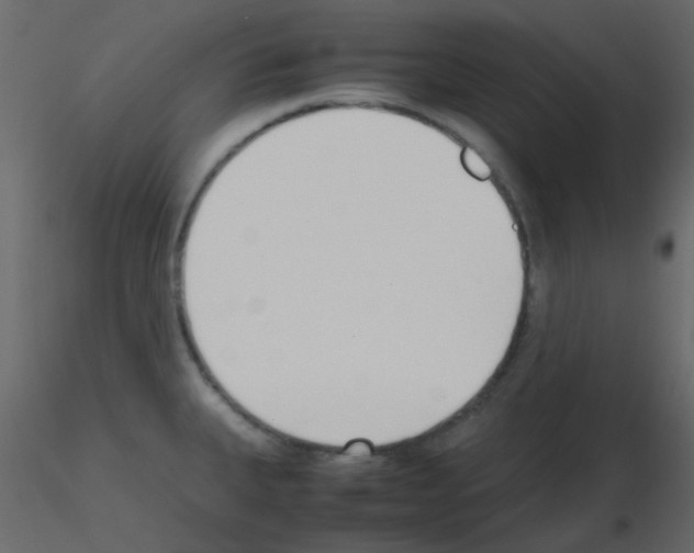 X0000115781335200912241803