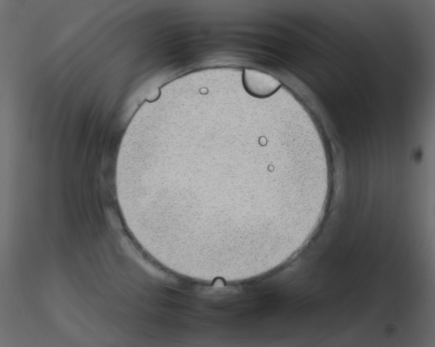 X0000115781337200912241803