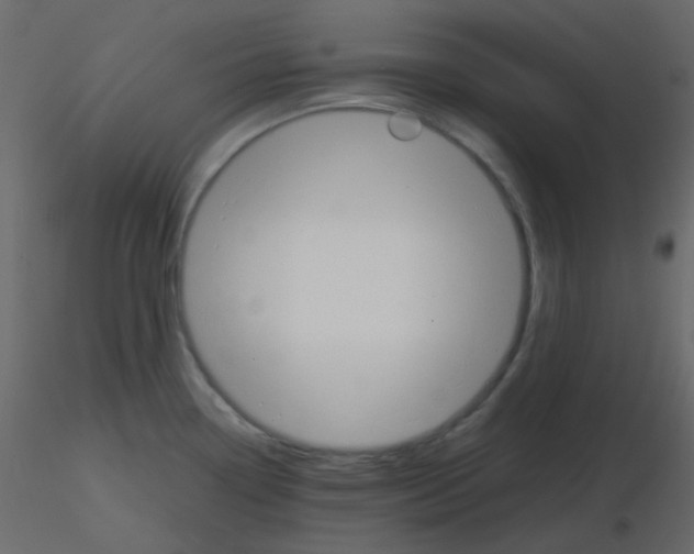 X0000115781338200912241803