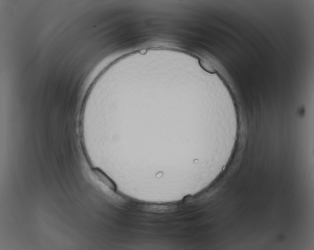 X0000115781339200912241803