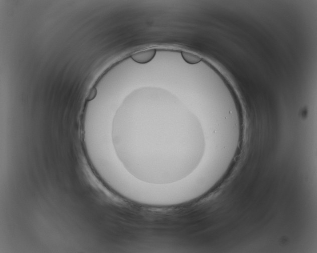 X0000115781341200912241803