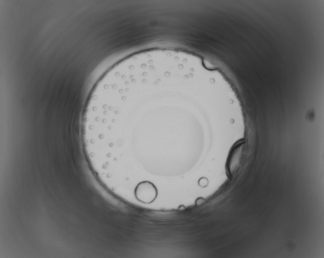 X0000115781343200912241803