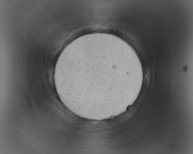 X0000115781348200912241802