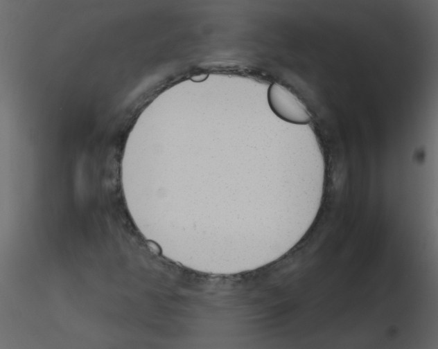 X0000115781350200912241802