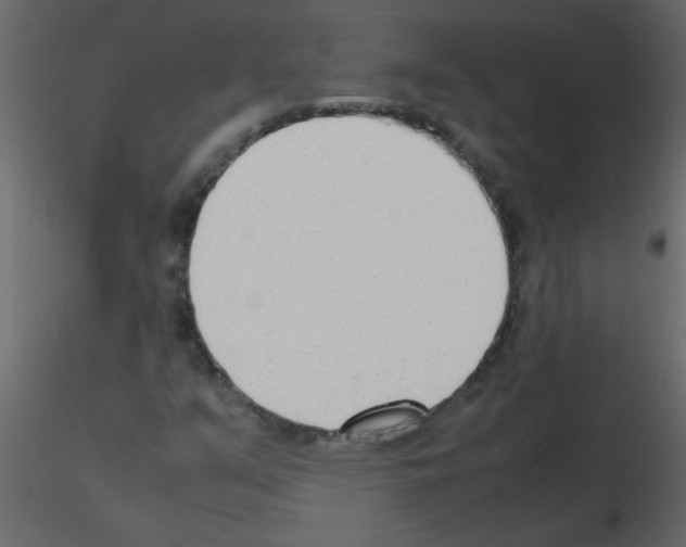 X0000115781351200912241802